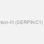 Antithrombin-III (SERPINC1) Antibody